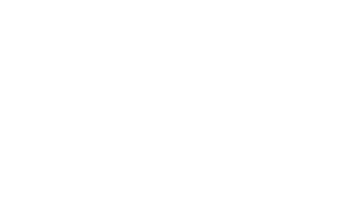 SC Hospital Association Logo In White